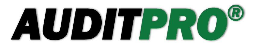 Auditoria Profissional